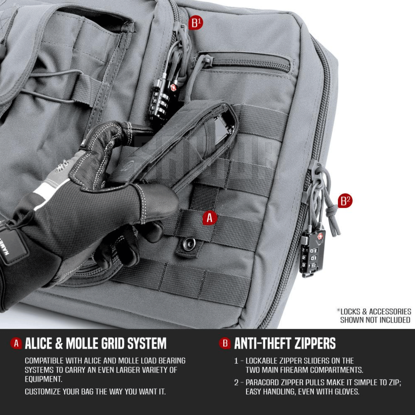 American Classic 55 in Padded Gear Case