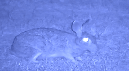 NVx7 Digital Night Sight