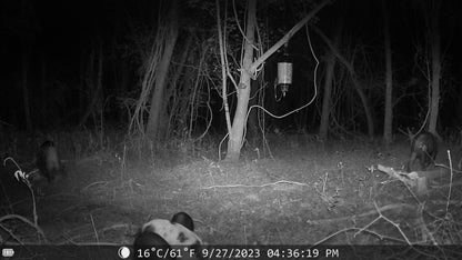 Sentinel Night Vision Trail Camera
